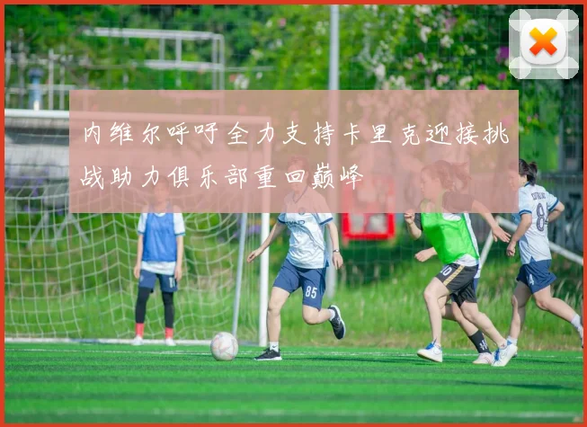 内维尔呼吁全力支持卡里克迎接挑战助力俱乐部重回巅峰