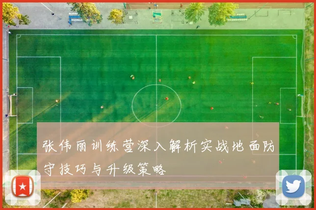 张伟丽训练营深入解析实战地面防守技巧与升级策略